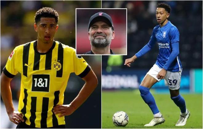 被高估也会 被高估也会